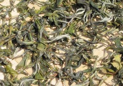 精制茶 毛茶與炭焙茶的獨(dú)特定位與特點(diǎn)解析